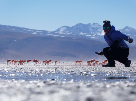 Salar de Uyuni - Amazing Flamingo lake
