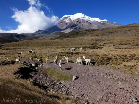 Ecuador - In the mountains