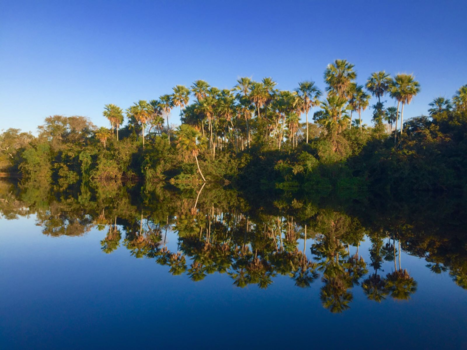 Pantanal - Boat trip