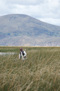 Titicacameer - Uros floating islands