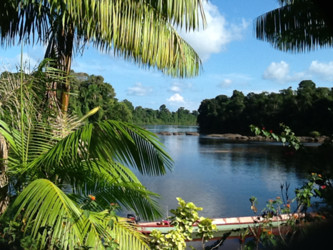 Suriname - De Surinamerivier bij het eilandje Dan-paati