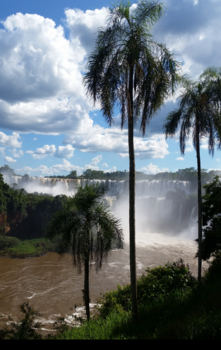 Brasilia - Foz de Iguazu