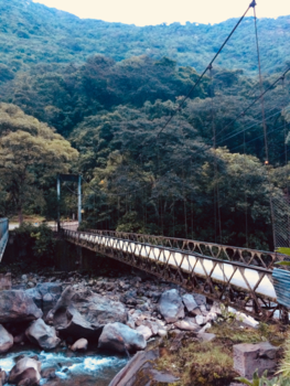 Machu Picchu - Wandel erheen