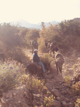Colca Canyon - Gaat u mee?