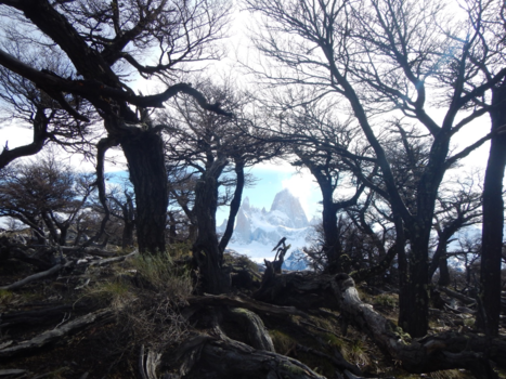 Argentinië - The eye of mountain Fitz Roy