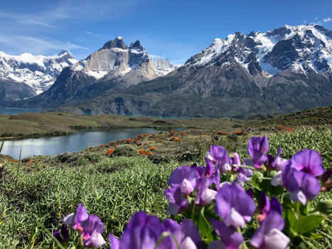 Torres del Paine - Lente in de Torres