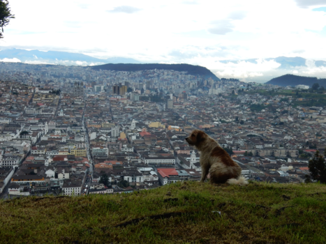 Ecuador - Uitzicht op Quito hoofdstad van Ecuador.