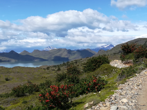 Torres del Paine - Torres del Paine