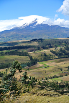Cotopaxi National Park - Cotopaxi vulcano