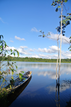 Ecuador - Napo, Amazone Ecuador