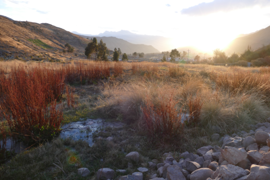 Peru - Op een mooie namiddag in Chivay (Peru)
