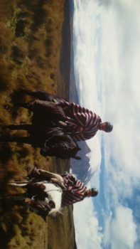 Ecuador - Paardrijtocht met Cotopaxi op de achtergrond
