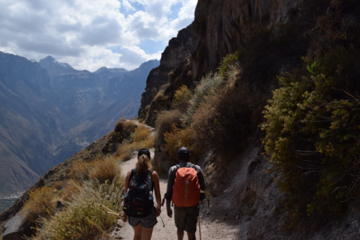 Colca Canyon - Hiken in de Colca Canyon in Peru