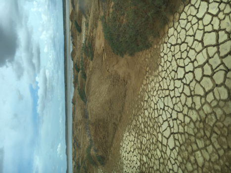 La Guajira - Semi-desert of La Guajira