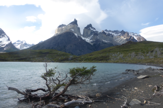 Rondreis Patagonië - Torres del Paine
