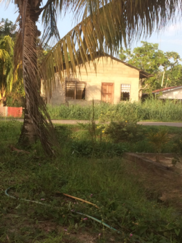 Suriname - Geweldig land