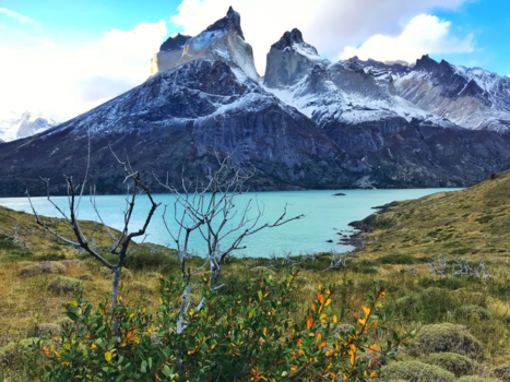 Chili - Torres del Paine