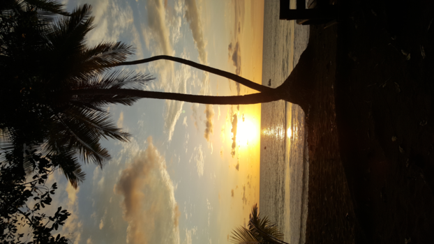 Corcovado - Sunset Costa Rica