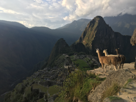 Machu Picchu - Looking at the Lost City