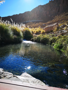 San Pedro de Atacama - Thermas de Puritama