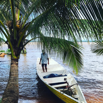 Rondreis regenwoud Suriname - Marowijne - Suriname