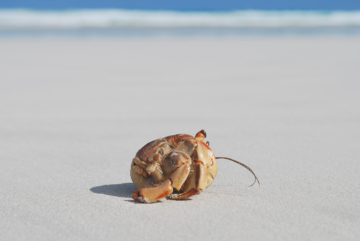 Galápagos eilanden - Opzoek naar avontuur, kijkend naar de wereld om ons heen