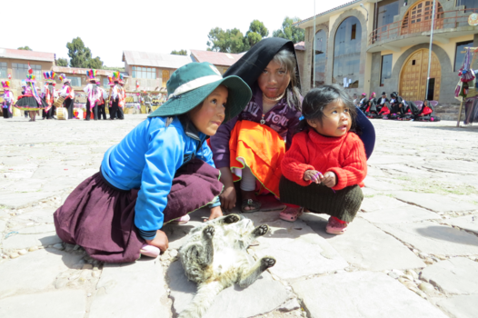 Titicacameer - Taquile Island Sisters at the annual festival