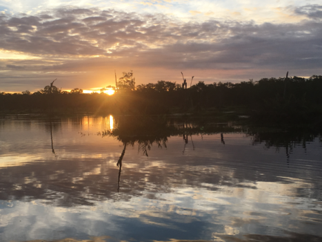 Rondreis regenwoud Suriname - Matapica
