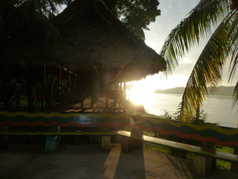 Amazonegebied - wonderbaarlijke herinneringen........