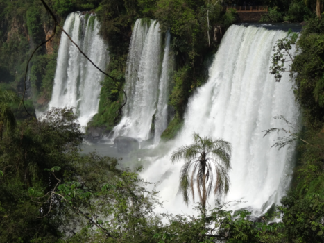 Rondreis Brazilië en Argentinië - Amazing falls