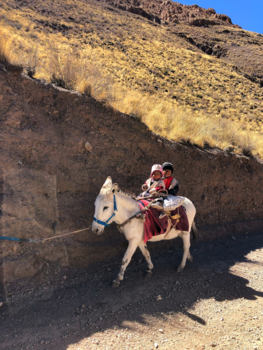 Argentinië - Omgeving Salta