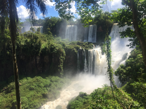 Iguazu Falls - Groen groener groenst! Jungle op z’n best - Iguazu Falls, Brazilië