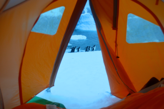 Antarctica - Ones of a lifetime