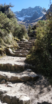 Machu Picchu - De zeer bijzondere, onvergetelijke 4-daagse Inca Trail...naar Machu Picchu!