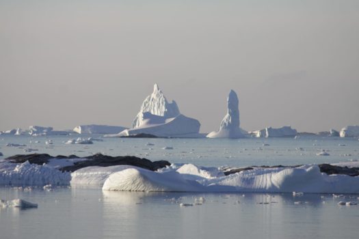 Antarctica - Antartica!