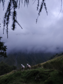 Lake District - Natuur en toeval