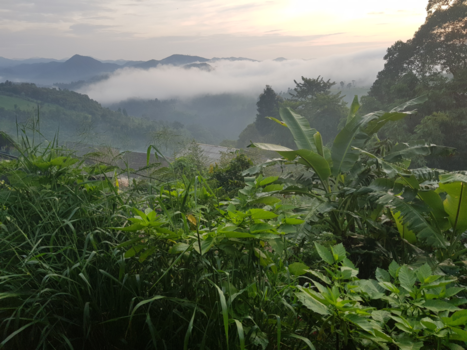 Machu Picchu - Jungletrek chiang mai met "pooh"