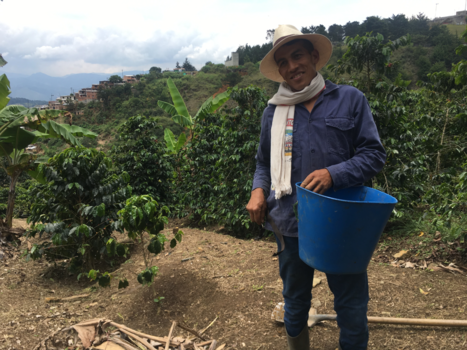 Colombia - Koffieplantage