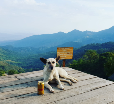 Colombia - Colombia, Minca
