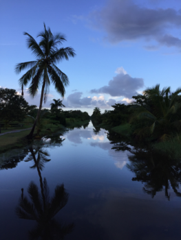 Rondreis Suriname in drie weken - Frederiksdorp