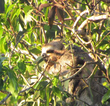 Bolivia - Lekker luieren