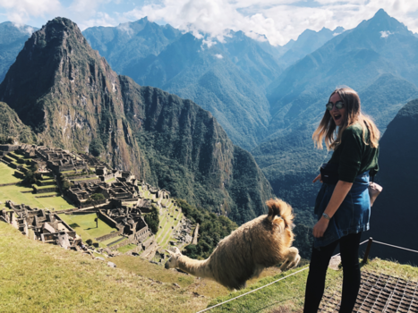 Machu Picchu - Lama photobombed mijn Machu Picchu foto
