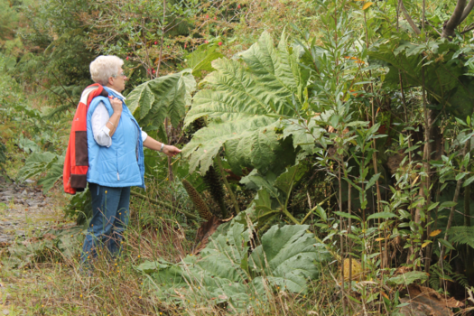 Puerto Montt - Hier voel je je klein.