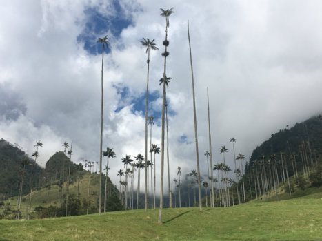 Colombia