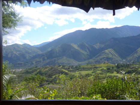 Podocarpus National Park - A Room with a View