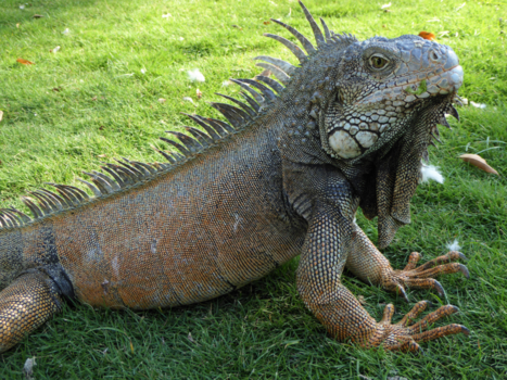 Ecuador - Waanzinnig