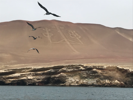 Paracas - If you want to fly, give up everything that weighs You down..