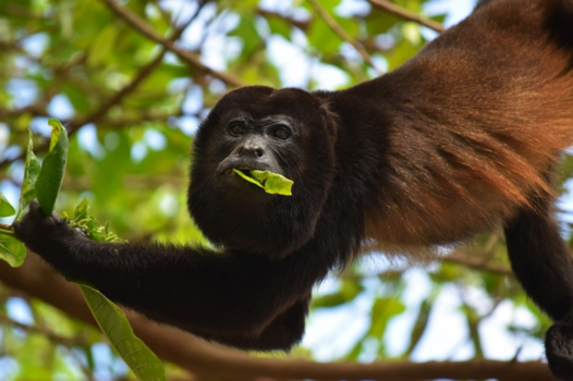 Paaseiland - Kijk mij nou eens