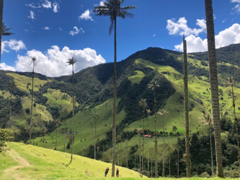 Salento - Seeing the bigger picture