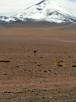 San Pedro de Atacama - Walking on the moon